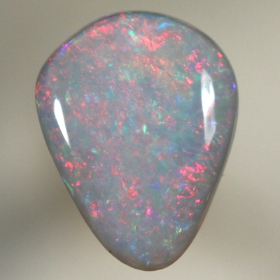 SOLID SEMI BLACK OPAL Bright Floral Harlequin pattern